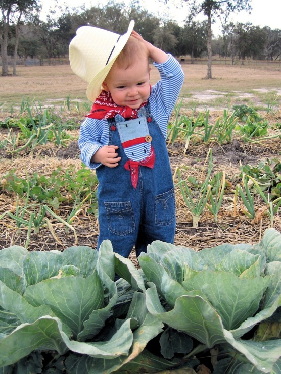 Young Farmer